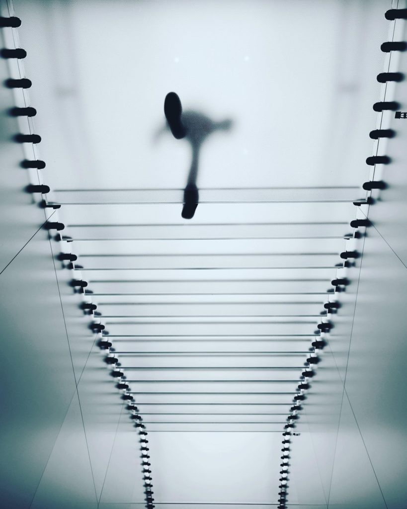 Transparente Sendungsverfolgung schafft Vertrauen